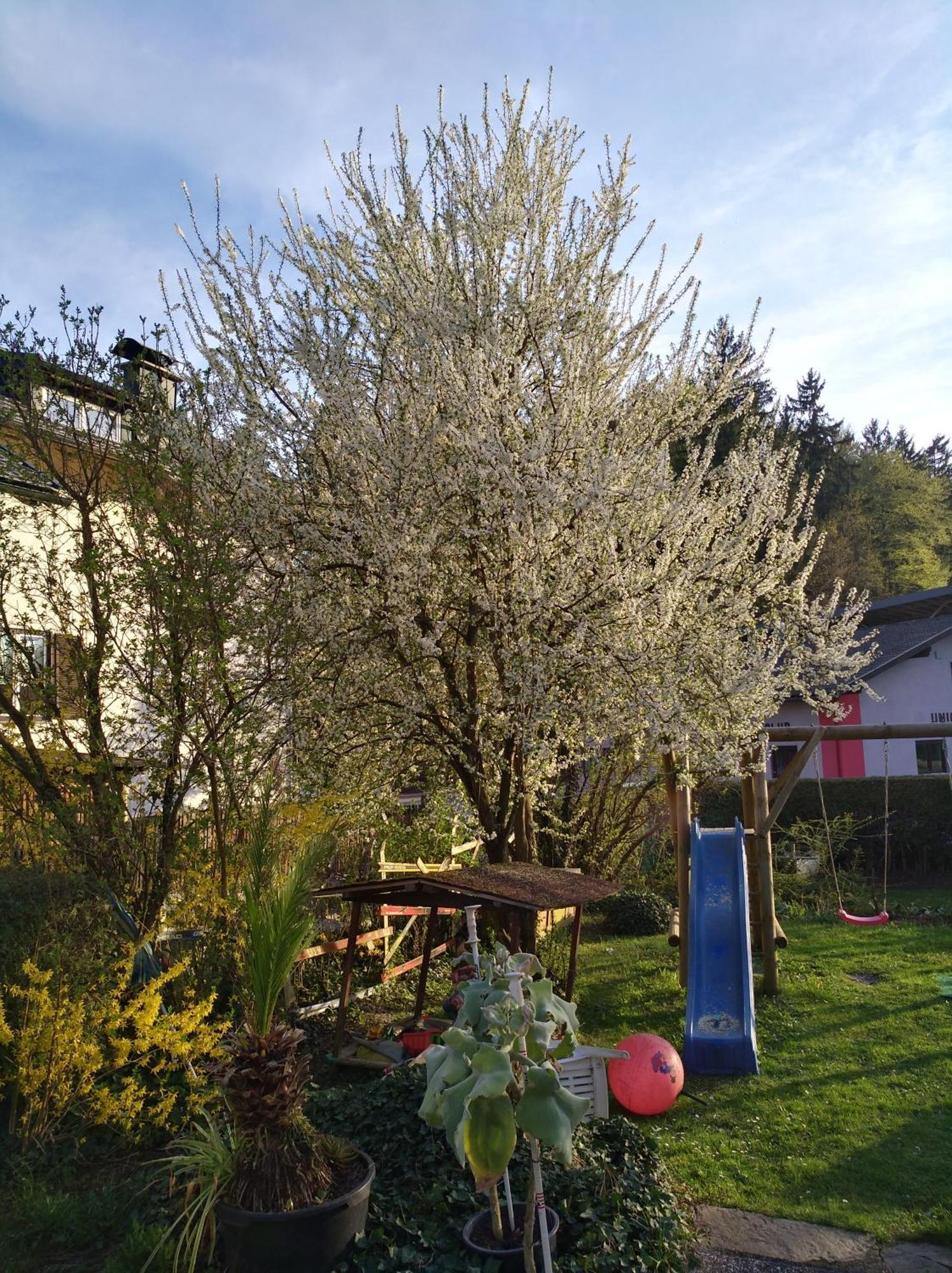 Haus Friedburg Appartement Velden am Wörthersee Buitenkant foto